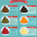 How to Read Your Poop for Clues About Your Diet