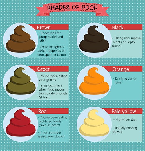 How to Read Your Poop for Clues About Your Diet