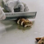 recipes with chicken breast