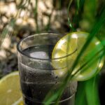 wellness nedir