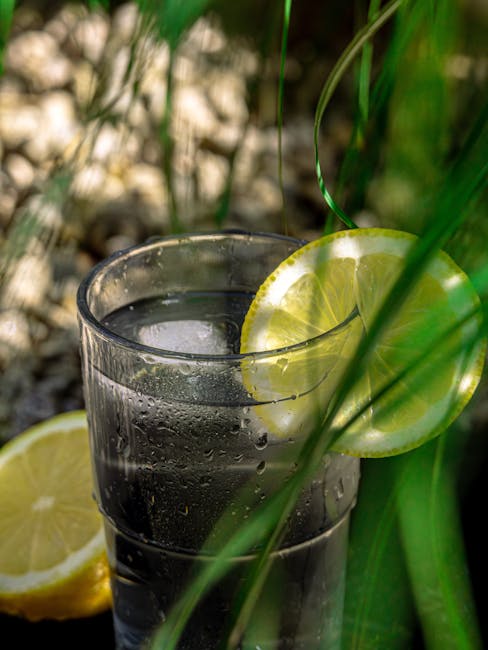 wellness nedir