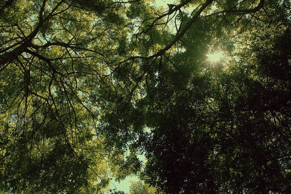 wellness sporu nedir