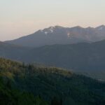 recipes stardew valley