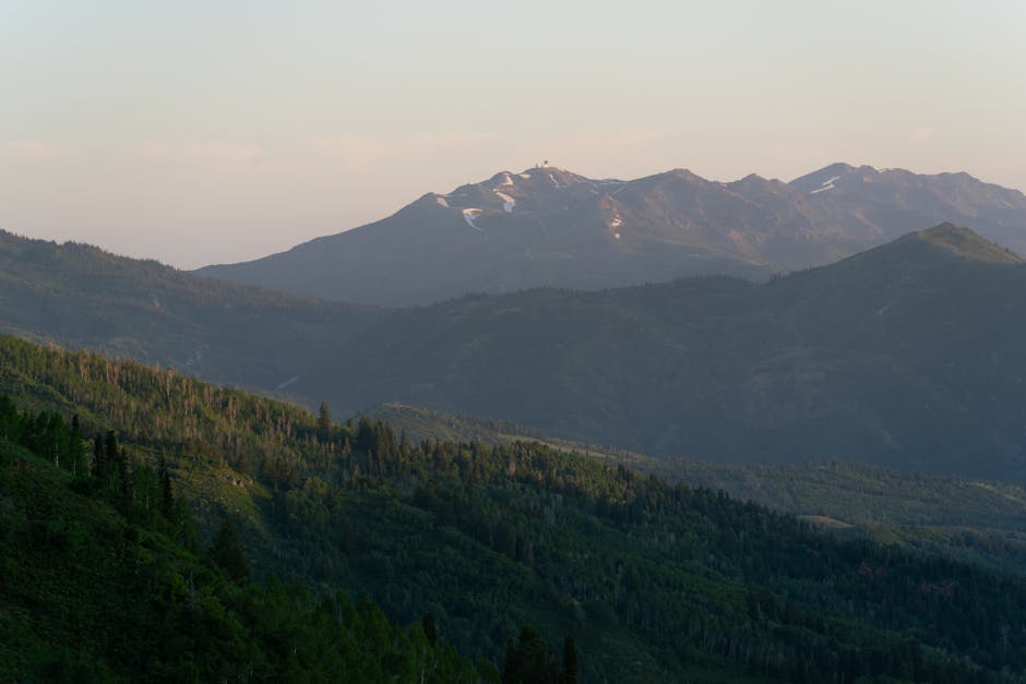 recipes stardew valley